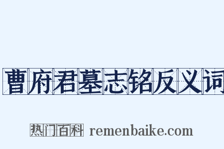 曹府君墓志铭反义词是什么意思的图片